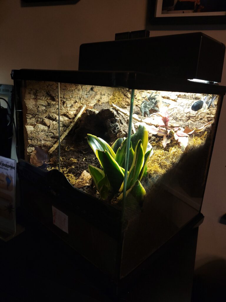 Terrarium von Günther